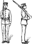 "Without changing the grasp of the right hand, place the piece on the right shoulder, barrel up and inclined at an angle of about 45 degrees from the horizontal trigger guard in the hollow of teh shoulder, right elbow near the side, the piece in a vertical plane perpendicular to the front." — Moss, 1914