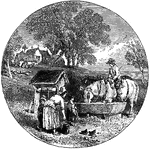 A horse drinking from a trough next to a well. An old woman is tending to the chickens and children.
