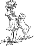 A girl holds the forelegs of a lamb as one might hold the legs of a pet dog up so it is standing on its two hind feet.