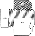 Cutaway view of a nut on a bolt showing the threads.