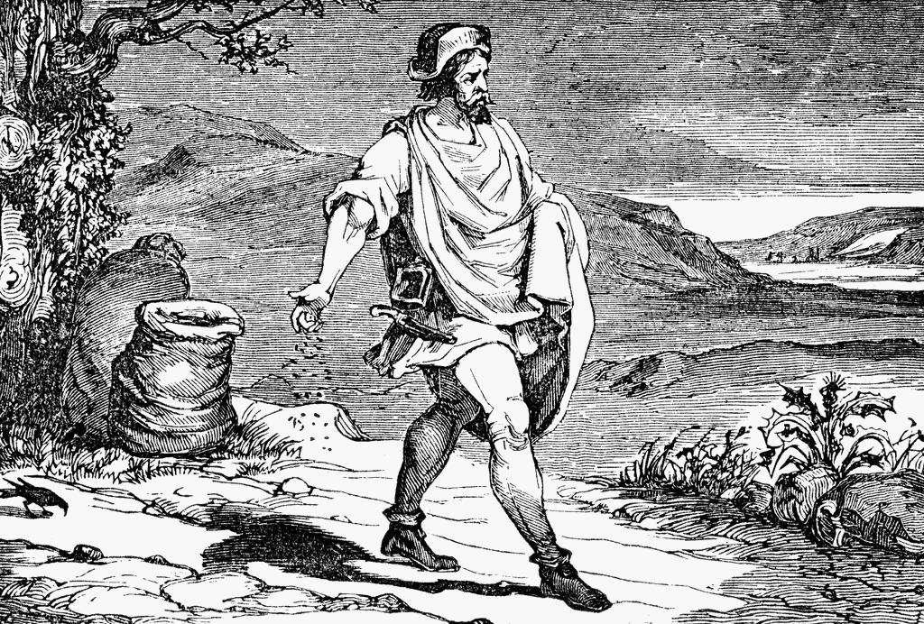 the parable of the sower clipart