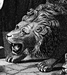 Head of a roaring lion from an engraving of an angel shutting the mouths of the lions when Daniel was thrown into the lions' den.