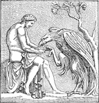 "Ganymede" &mdash; Gayley, 1893
