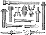 A number of screws, all used in carriage-making and carpentry. "A, B, C, D, and E are special forms of wood-screws in common use." &mdash;Whitney, 1889