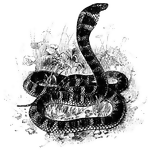 Illustration of a King cobra, <i>Ophiophagus elaps</i>, also called a Shiva snake or Siva snake because it is worn by the Hindu Lord Shiva.
<p>"A book name of <i>Ophiophagus elaps</i>, a very large and deadly cobriform serpent of India; so called from its powers of destruction." &mdash;Whitney, 1889