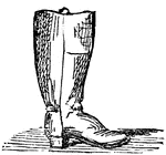 A covering for the foot and leg.
