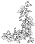 An lower right corner decoration of holly leaves and berries. Appropriate for use for Christmas, winter holidays, or nature-related cards or letters. May be combined with the three other holly corners to create a wide frame.