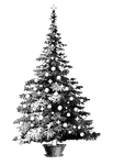 A pine tree in a pot or Christmas tree stand. It is decorated with balls and four-pointed stars. Might be used in a before-and-after picture with its corresponding undecorated version.