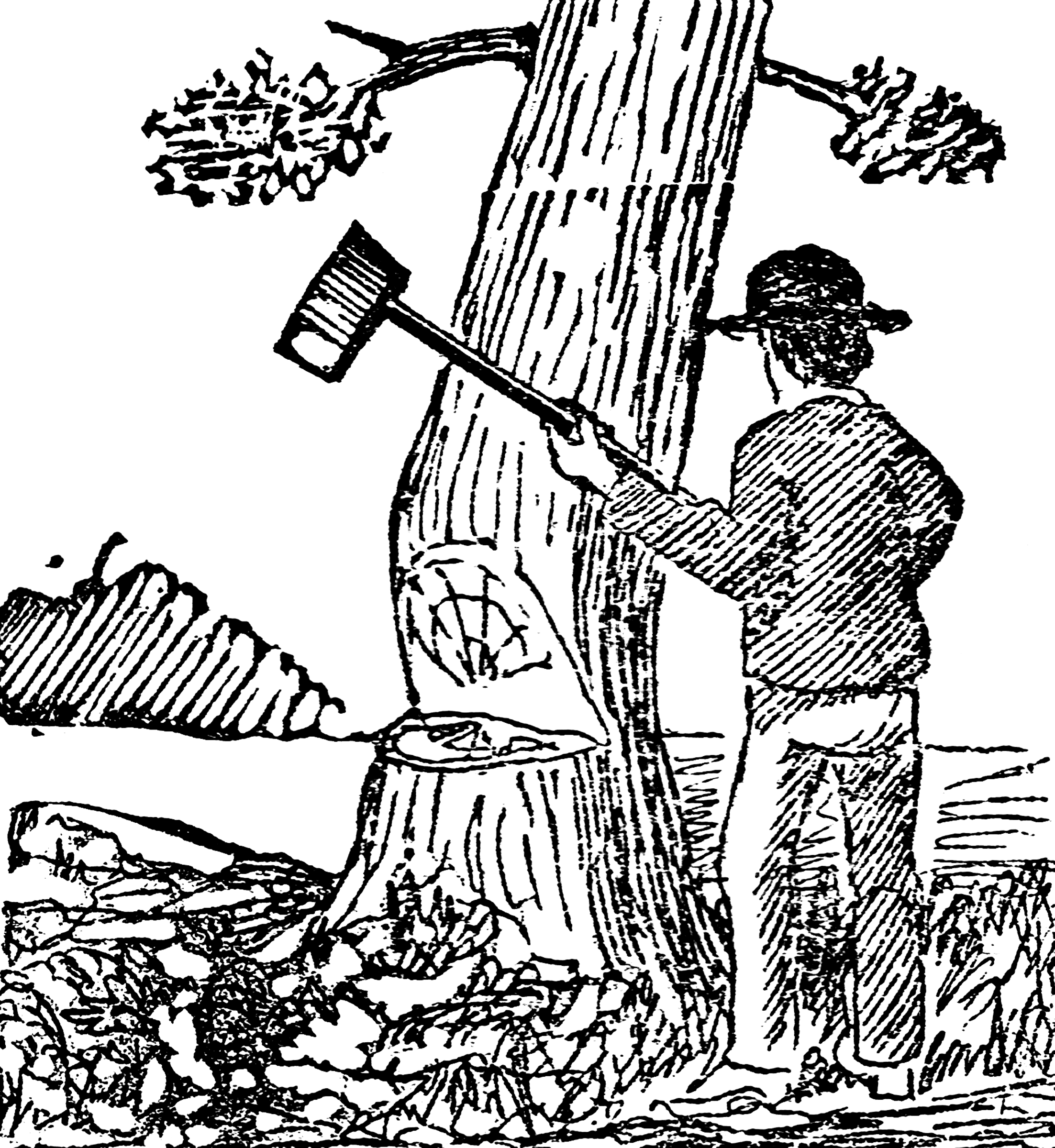 Человек срубает дерево рисунок
