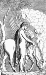 "Bellerophon and Pegasus" &mdash; Gayley, 1893
