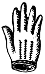 A cover for the hand, with a separate sheath for each finger.