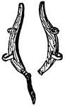 The curved pieces of wood or metal by which the traces and body-harness of a horse are attached to the collar.