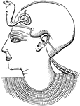 "Pharaoh" — Morey, 1903