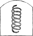 A coiled wire spring, used for various purposes.
