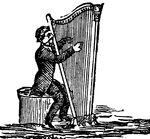 A player of the harp.