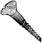 A screw made of iron, and furnished with a sharp thread, for insertion in wood.