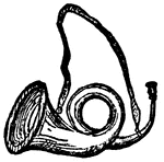 A bugle; a horn used to cheer the hounds in pursuit of game.