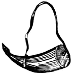 A flask or horn in which gun-powder is carried by sportsmen.