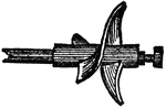 The screw, or spiral-bladed wheel, used in the propulsion of steam-vessels.