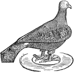 A metal bird.