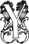 Decorative letter 'y'.