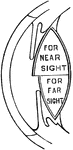 "Diagram showing how the lens changes its form for near and far sight." &mdash; Tracy, 1888