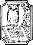 An owl perched on a book, with a branch in the background.