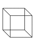 "A regular hexahedron: a solid figure bounded by 6 equal squares." &mdash; Williams, 1889
