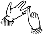 Sign language for the letter "O"
