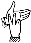 Sign language for the letter "V"