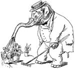 A scene from the story, <em>Jumbo's Garden</em>. Jumbo had a garden, a pretty little garden, filled with every flower that grows, and 'twas watered every day, in a novel sort of way, with his trunk for the garden hose!
