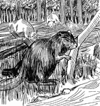 Beavers knawing on wood.