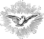 A dove, flying.