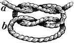 "This is much better than the granny knot, because it is easily untied, but will not loosen of itself." &mdash;Davison, 1910