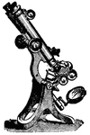An optical instrument designed to eamine minute objects or parts of objects, and which so magnifies otherwise invisible or indistinct details that their structure or texture may be seen clearly.