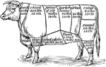 The names and [out of date] prices of various cuts of beef.