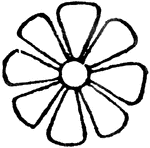 A floral-shaped design which is said to resemble the "Star of Bethlehem," an early spring flower of Persia. It is much used in border designs and it alternates with the palmette in forming the Sha Abbas pattern. It also forms the design known as the Knop and Flower by alternating with a closed bud. Some authorities claim that it originated from the lotus.