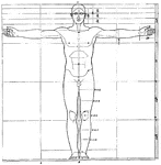 "The proportions of the human figure. As handed down to us by Vitruvius and described by Joseph Bonomi." &mdash;D'Anvers, 1895