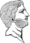 A distinguished and ambitious Roman military leader, provincial administrator and politician of the 1st century BC, the period of the Late Republic. Hailing from an Italian provincial background, Pompey first distinguished himself as a talented military leader during the dictatorship of Lucius Cornelius Sulla.