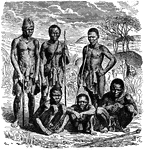 The peoples of South Africa and neighbouring Botswana and Namibia, who live in the Kalahari, are part of the Khoisan group and are related to the Khoikhoi.