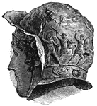 Decorations placed on the helmets of the Roman soldiers.
