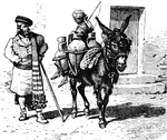 A Spanish water carrier, which usually consisted of a donkey and pottery attached to it.