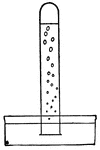 This illustration shows a test tube filled with liquid, with rising oxygen bubbles.