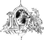 This illustration shows the head of a goat looking out a window.