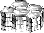 This illustration shows a more or less perfect columnar structure, due to constraction on cooling, is exemplified often by igneous rocks.