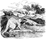 This is an illustration of the smaller animals from the time when Dinosaurs ruled the planet.