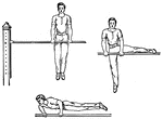 An artistic gymnastics aparatus, used by both males and female gymnasts.