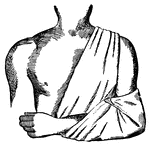 This illustration shows a method of applying a bandage to the arm.