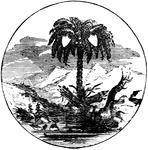 The official seal of the U.S. state of South Carolina in 1889.