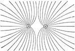 This illustration represents the field between two equal positive charges; in this case the lines of force do not pass from one to the other, but travel off to an infinate distance.